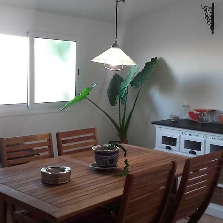 Apartament 4 Gats 代尔特布雷 外观 照片